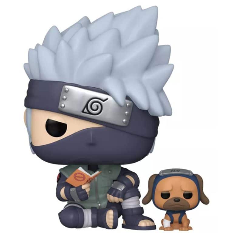 Kakashi Hatake con Pakkun (Naruto Shippuden) #1338