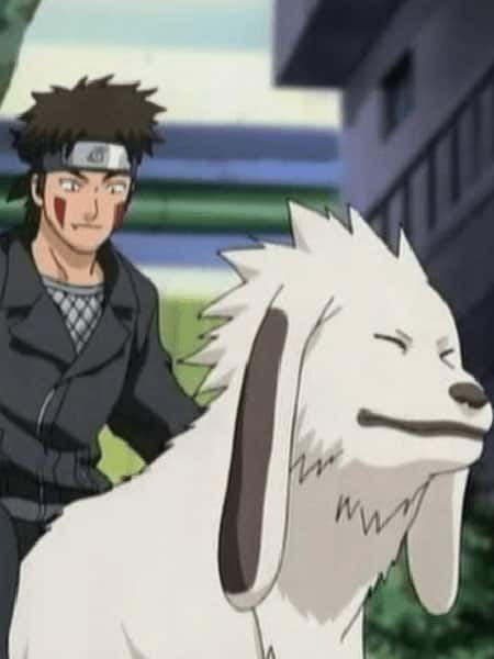 Kiba con Akamaru nella serie Naruto Shippuden