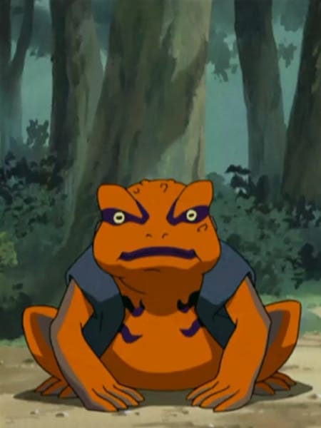 Naruto su Gamakichi nella serie Naruto Shippuden