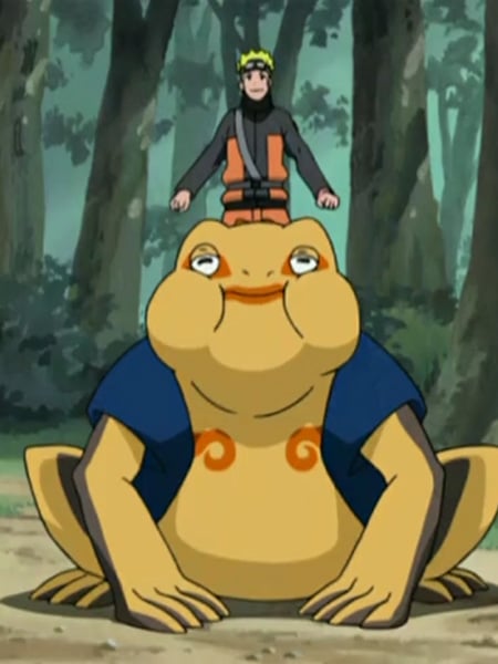 Naruto su Gamakichi nella serie Naruto Shippuden